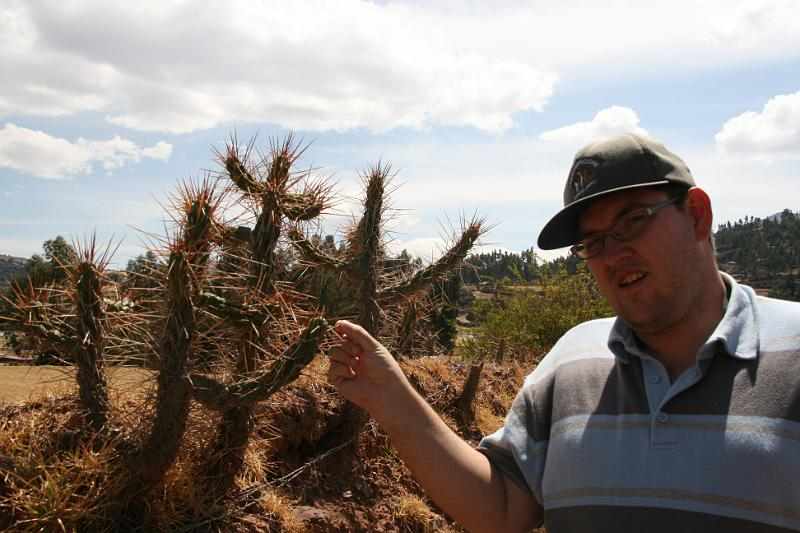 Peru 1142